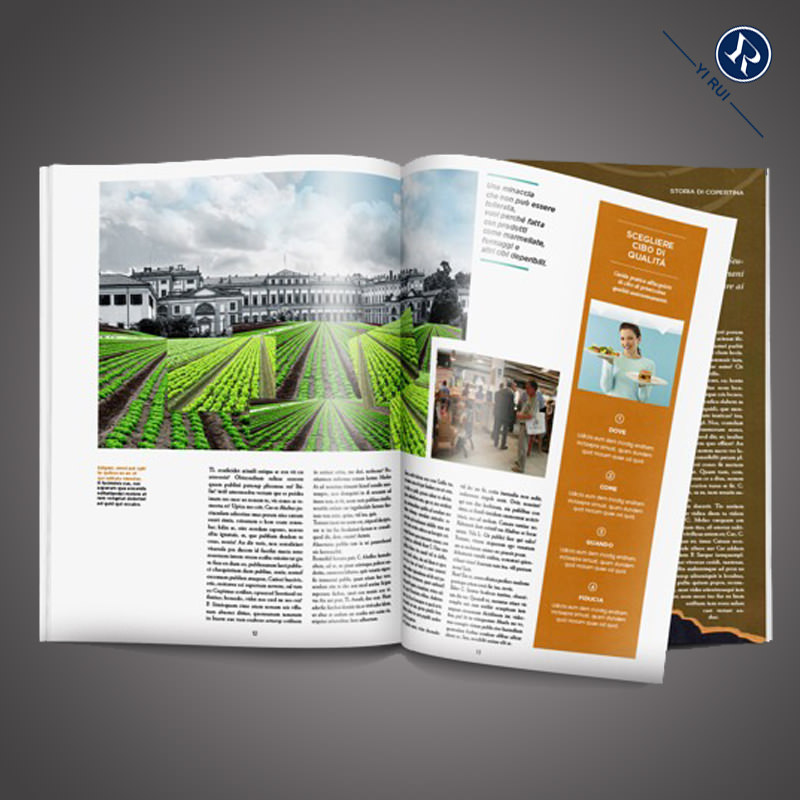 英文招商畫(huà)冊(cè)印刷