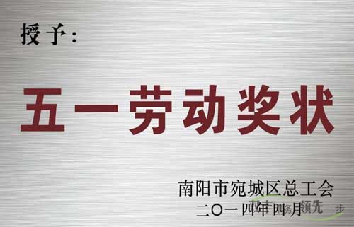 南陽市雙豐印務有限公司五一勞動獎章