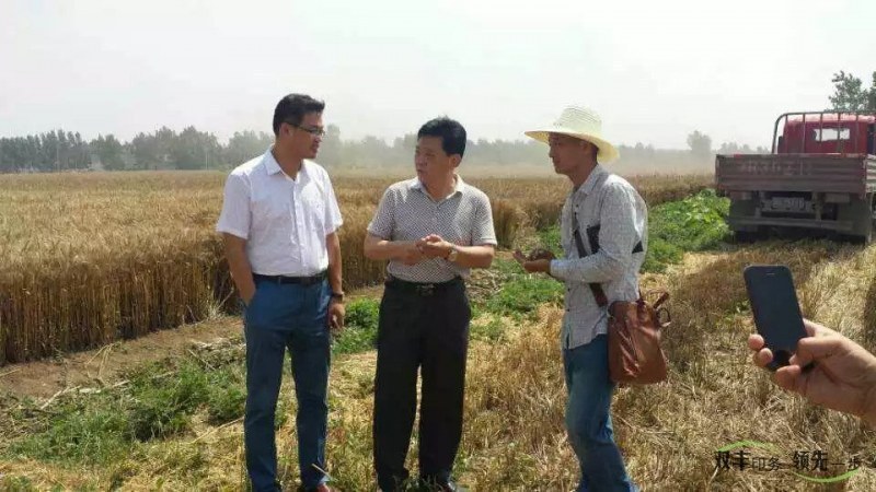 雙豐印務(wù)總經(jīng)理（市僑商會執(zhí)行常務(wù)副會長）陳世杰